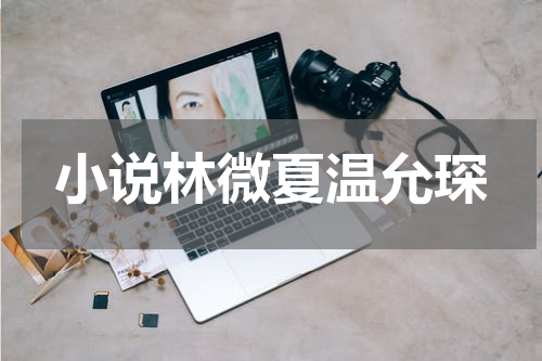 小说林微夏温允琛