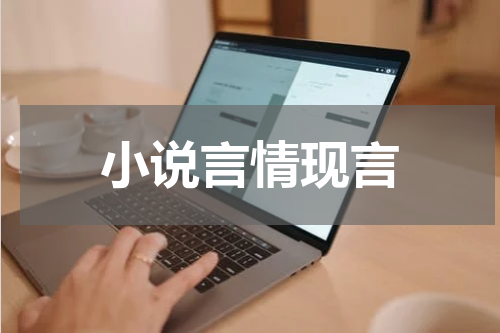 小说言情现言