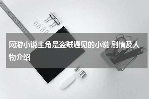 网游小说主角是盗贼遇见的小说 剧情及人物介绍