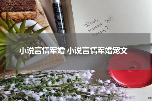 小说言情军婚 小说言情军婚宠文
