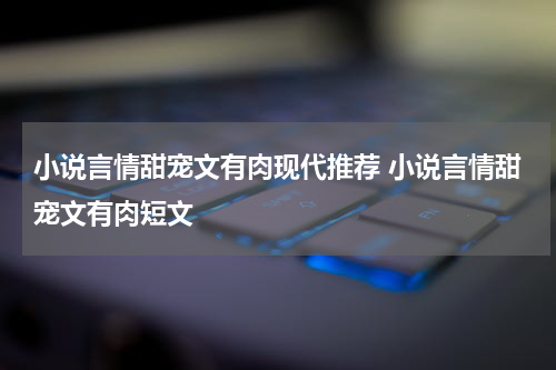 小说言情甜宠文有肉现代推荐 小说言情甜宠文有肉短文