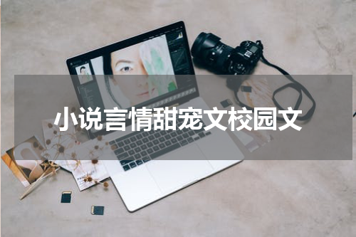小说言情甜宠文校园文