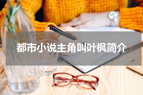 都市小说主角叫叶枫简介