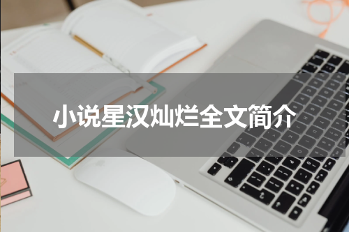 小说星汉灿烂全文简介