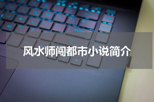 风水师闯都市小说简介