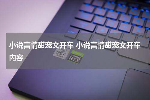 小说言情甜宠文开车 小说言情甜宠文开车内容