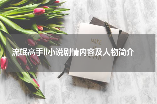 流氓高手ii小说剧情内容及人物简介