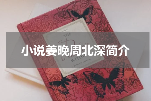 小说姜晚周北深简介