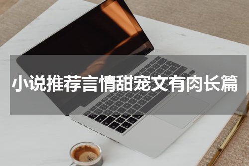小说推荐言情甜宠文有肉长篇
