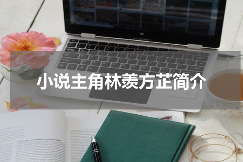 小说主角林羡方芷简介