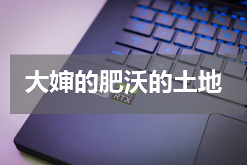 大婶的肥沃的土地