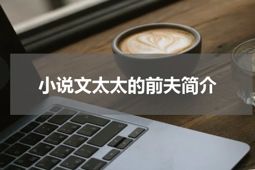 小说文太太的前夫简介