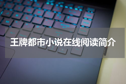 王牌都市小说在线阅读简介