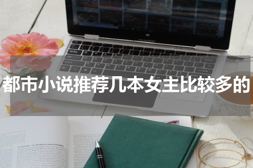 都市小说推荐几本女主比较多的