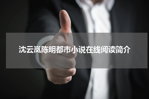 沈云岚陈明都市小说在线阅读简介