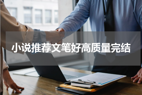 小说推荐文笔好高质量完结
