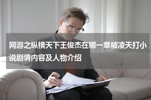 网游之纵横天下王俊杰在哪一章被凌天打小说剧情内容及人物介绍
