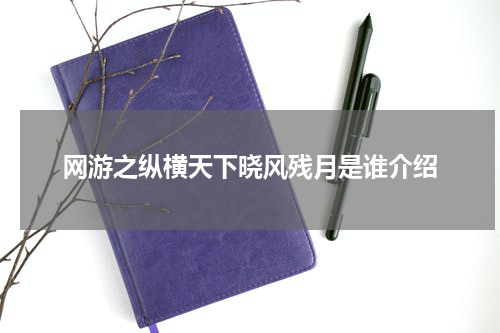网游之纵横天下晓风残月是谁介绍