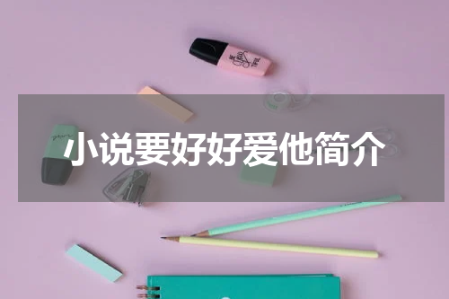 小说要好好爱他简介