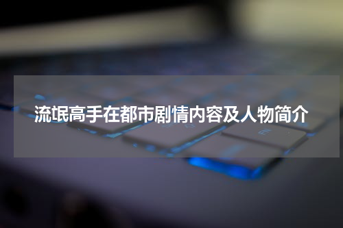 流氓高手在都市剧情内容及人物简介