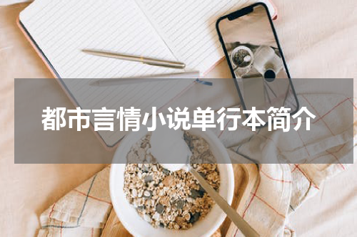 都市言情小说单行本简介