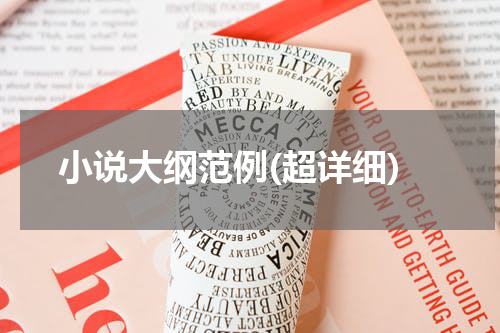 小说大纲范例(超详细)