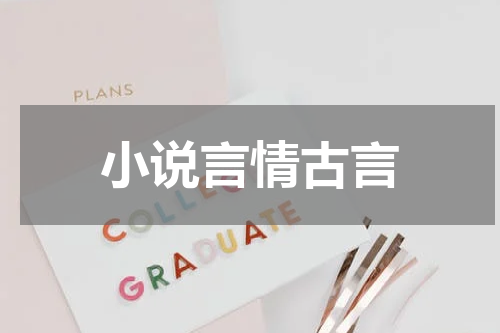 小说言情古言