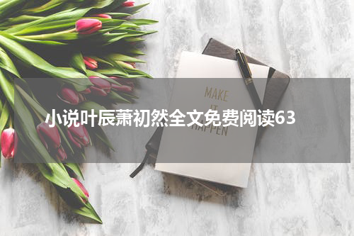 小说叶辰萧初然全文免费阅读63