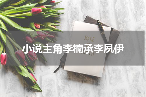 小说主角李楠承李夙伊