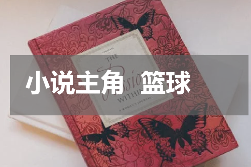 小说主角  篮球