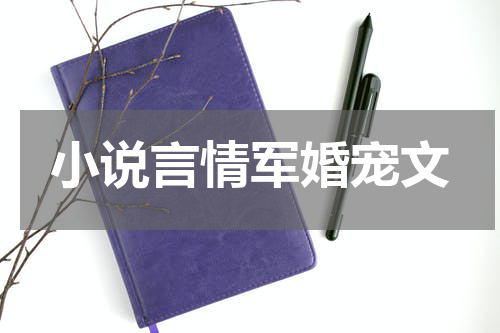 小说言情军婚宠文