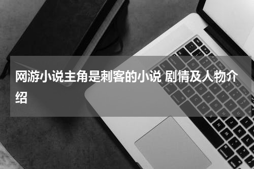 网游小说主角是刺客的小说 剧情及人物介绍