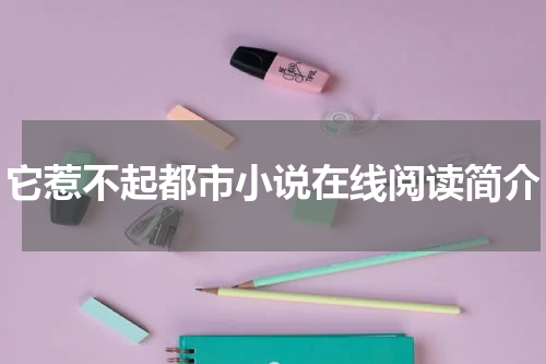 它惹不起都市小说在线阅读简介