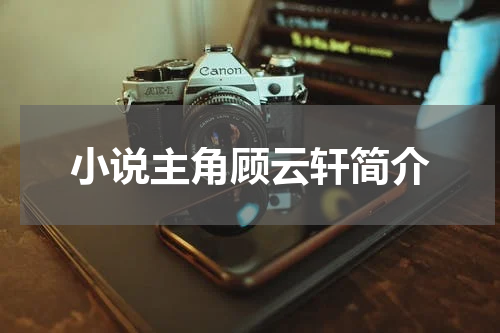 小说主角顾云轩简介