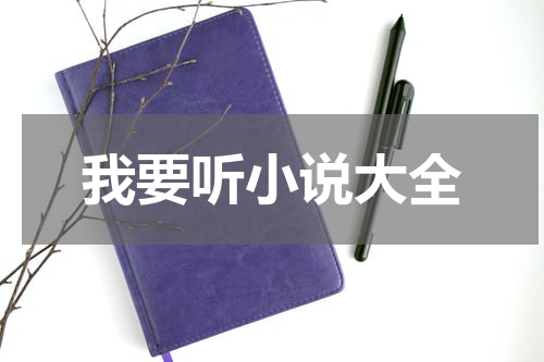 我要听小说大全