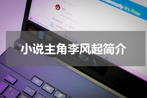 小说主角李风起简介