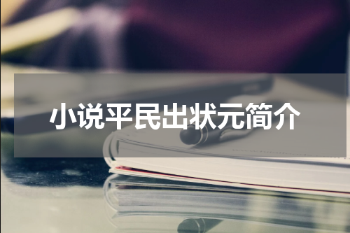 小说平民出状元简介