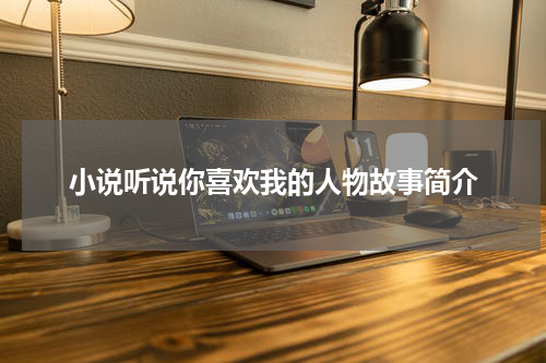 小说听说你喜欢我的人物故事简介