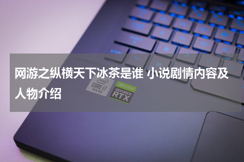 网游之纵横天下冰茶是谁 小说剧情内容及人物介绍