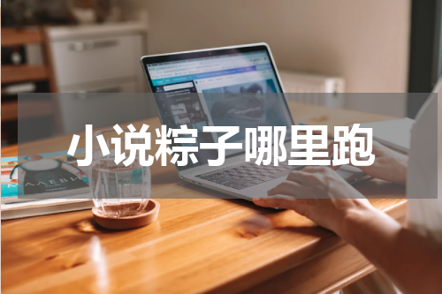 小说粽子哪里跑