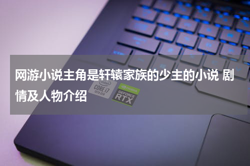 网游小说主角是轩辕家族的少主的小说 剧情及人物介绍