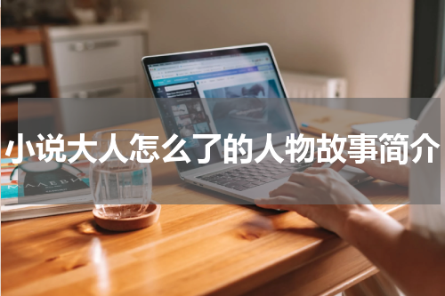 小说大人怎么了的人物故事简介