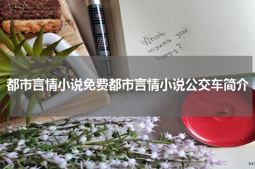 都市言情小说免费都市言情小说公交车简介