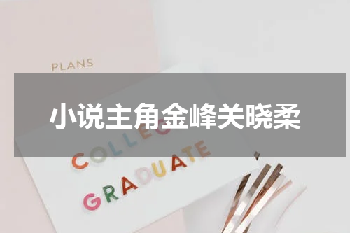 小说主角金峰关晓柔