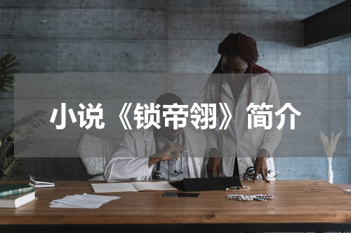 小说《锁帝翎》简介