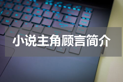 小说主角顾言简介