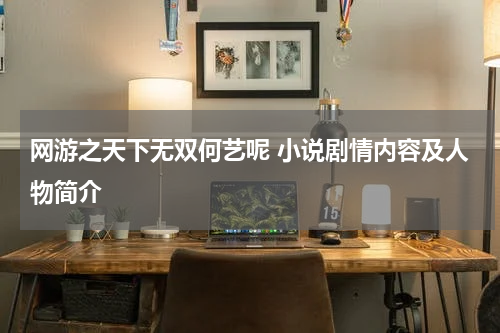 网游之天下无双何艺呢 小说剧情内容及人物简介