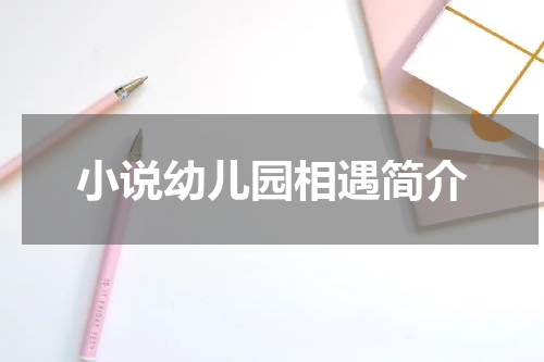 小说幼儿园相遇简介