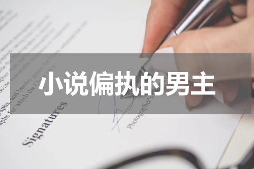 小说偏执的男主