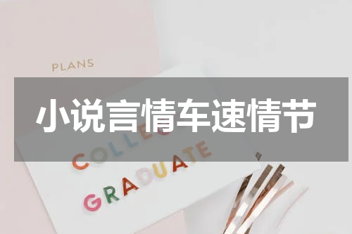 小说言情车速情节
